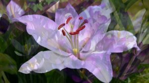 Сборник самых невероятно красивых и нежных мелодий, до глубины души! Музыка Сергея Чекалина