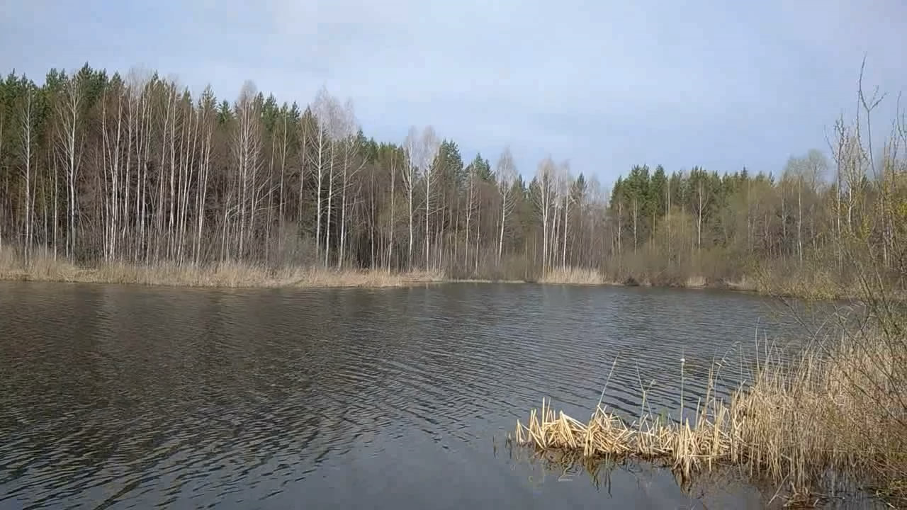 Водоёмы Южного Урала