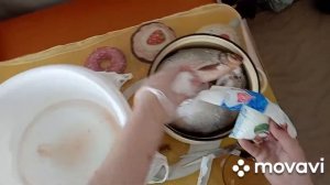 КАК ЗАСОЛИТЬ ПОДЛЕЩИКА, ВКУСНО!!!