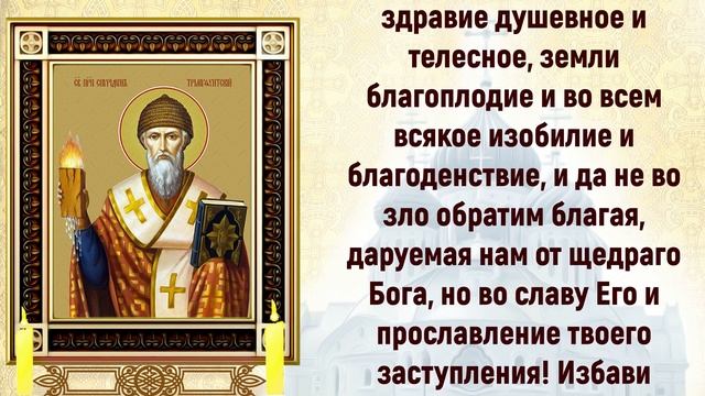 СИЛЬНАЯ молитва о ИСЦЕЛЕНИИ к Спиридону Тримифунтскому смотреть онлайн