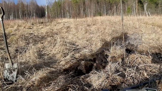 Испытания нового металлоискателя, симплекс плюс. смотреть онлайн