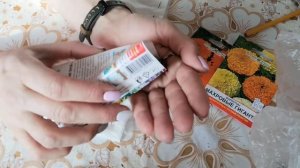 посадка бархатцев и календулы на рассаду в пеленки