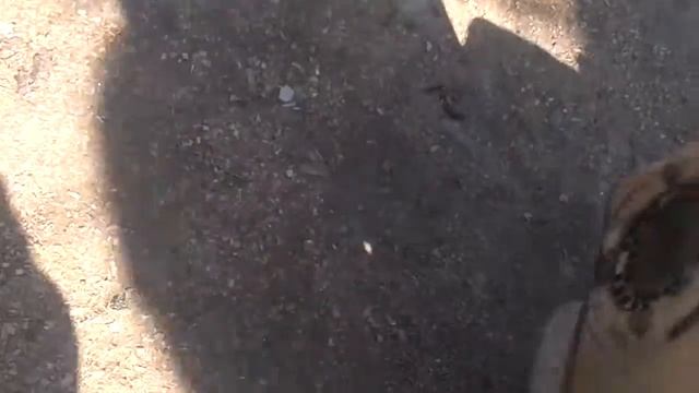 briggs stratton intek 206 5.5 hp смотреть онлайн