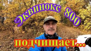 Самый лучший металлоискатель Эквинокс 800 подчищает после Тёрки 705