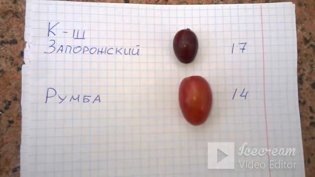 Содержание сахара в винограде. Влияет ли на вкус ? смотреть онлайн