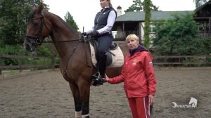 Строевая рысь   правильная посадка  Облегчённая  Верховая Езда