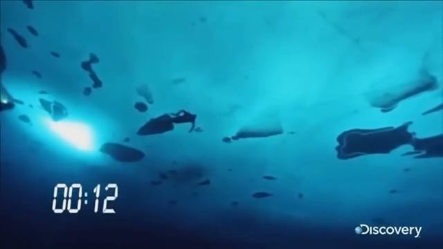 Самые необычные люди планеты. Феномены смотреть онлайн