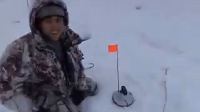 жерлицы крупная щука смотреть онлайн