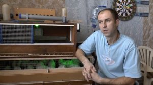 Брудер для цыплят и перепелят.Инфракрасная  пленка и терморегулятор W1209,