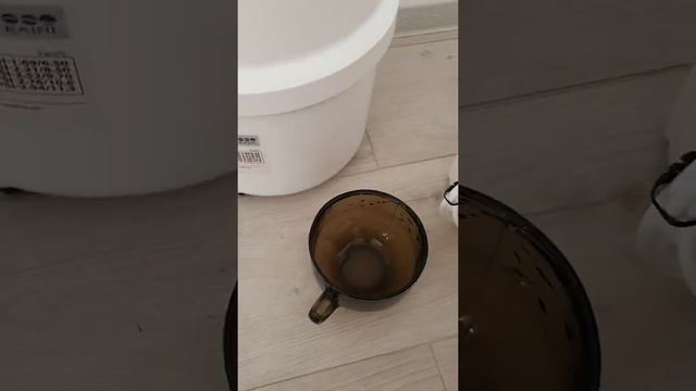 Фильтр обратного осмоса Raifil Grando 5 без помпы смотреть онлайн