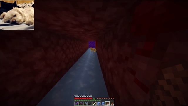 Sapnap Sings WAP And Sweater Weather