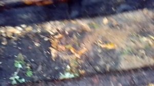 Сарай из поддонов 6 на 4 БЕЗ ФУНДАМЕНТА, БЕЗ СТОЛБОВ 1й ярус