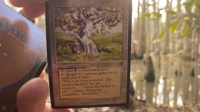 Magic the Gathering 1994 Legends Booster Pack Opening at First Landing State Park - Awesome Rare! смотреть онлайн