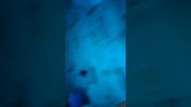 почему я так ровно держу подбородок, просто я ходила к логопеду в садике и там меня научили смотреть онлайн