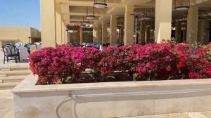 Sheraton Soma Bay Resort 5* ты должен его увидеть!