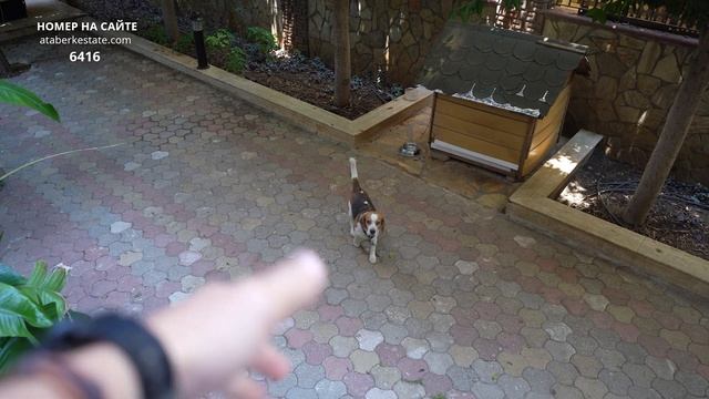 Недвижимость в Турции. Квартира в Алании для проживания. купить квартиру в Алании. Переезд в Турцию смотреть онлайн