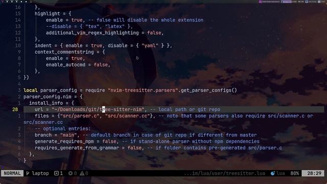 Installing Nim Treesitter Grammar for Neovim смотреть онлайн