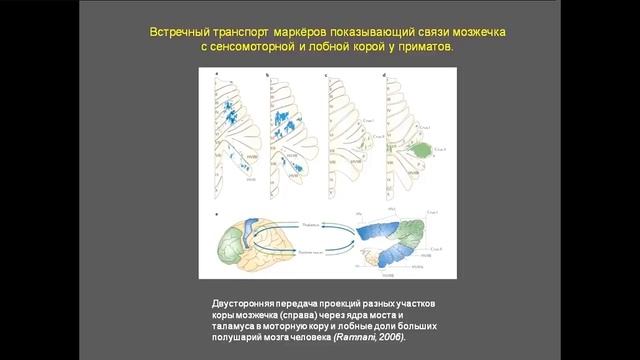С. Савельев Тайные знания смотреть онлайн