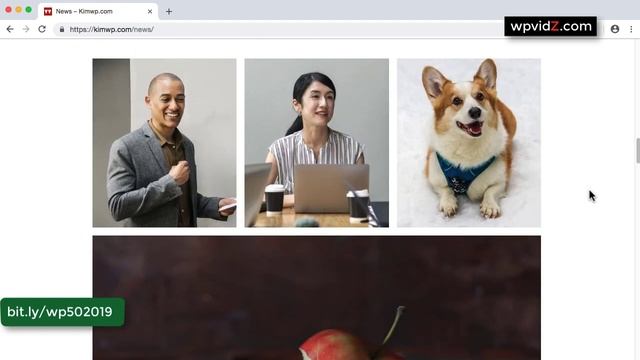Build a Website with WordPress 5.0 and Twenty Nineteen Theme 2019 смотреть онлайн