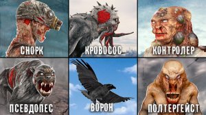 15 Монстров из STALKER + Подвиды