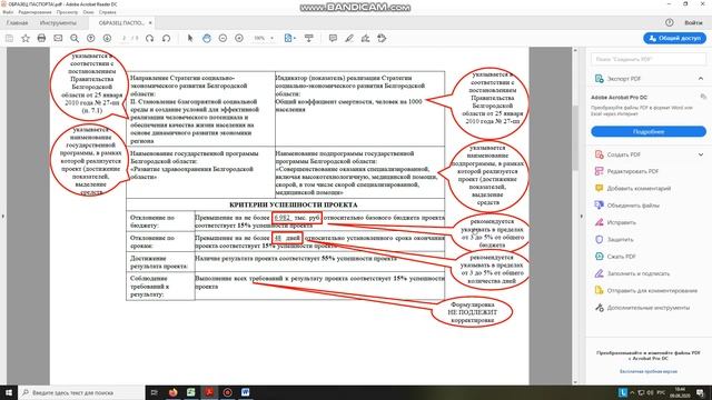 Видеоинструкция по заполнению паспорта проекта смотреть онлайн