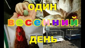 один весенний день