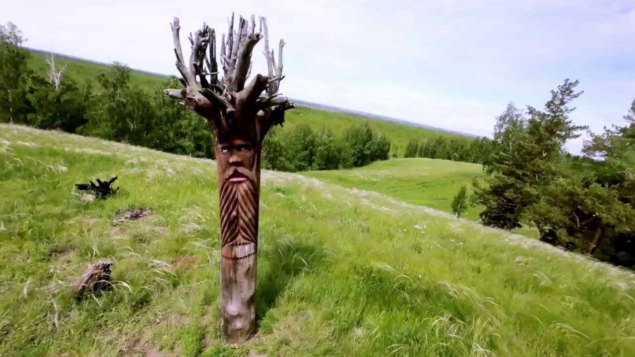 ковыль смотреть онлайн