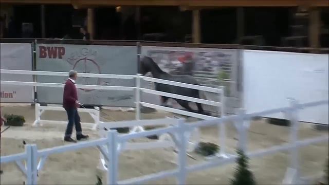 Mont Blanc C (Cornet Obolensky) freejumping BWP approval смотреть онлайн