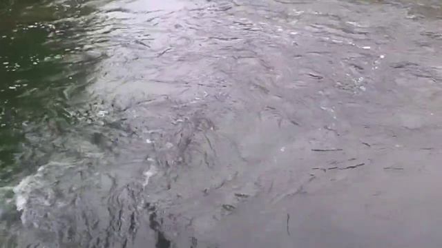 Водопад в Шешорах смотреть онлайн