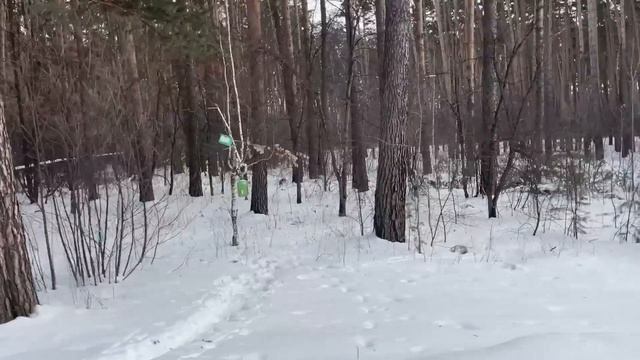 402/Переезд в Россию. Работа МЕЧТА и свободный график! Заводоуковск. Ялуторовск, Сибирь, 2023 год. смотреть онлайн