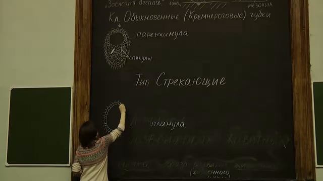 Личинки. Богомолова Е.В. 12.12.2015 edit смотреть онлайн