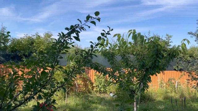 Иду домой ! В саду какие дела надо делать смотреть онлайн