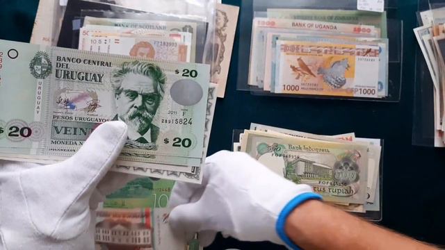 Здоровенную недетскую коллекцию банкнот прислали на продажу смотреть онлайн