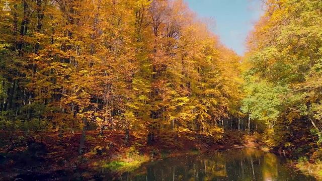 Lead Me Lord : Piano Instrumental Music With Scriptures & Autumn Scene ?CHRISTIAN piano смотреть онлайн