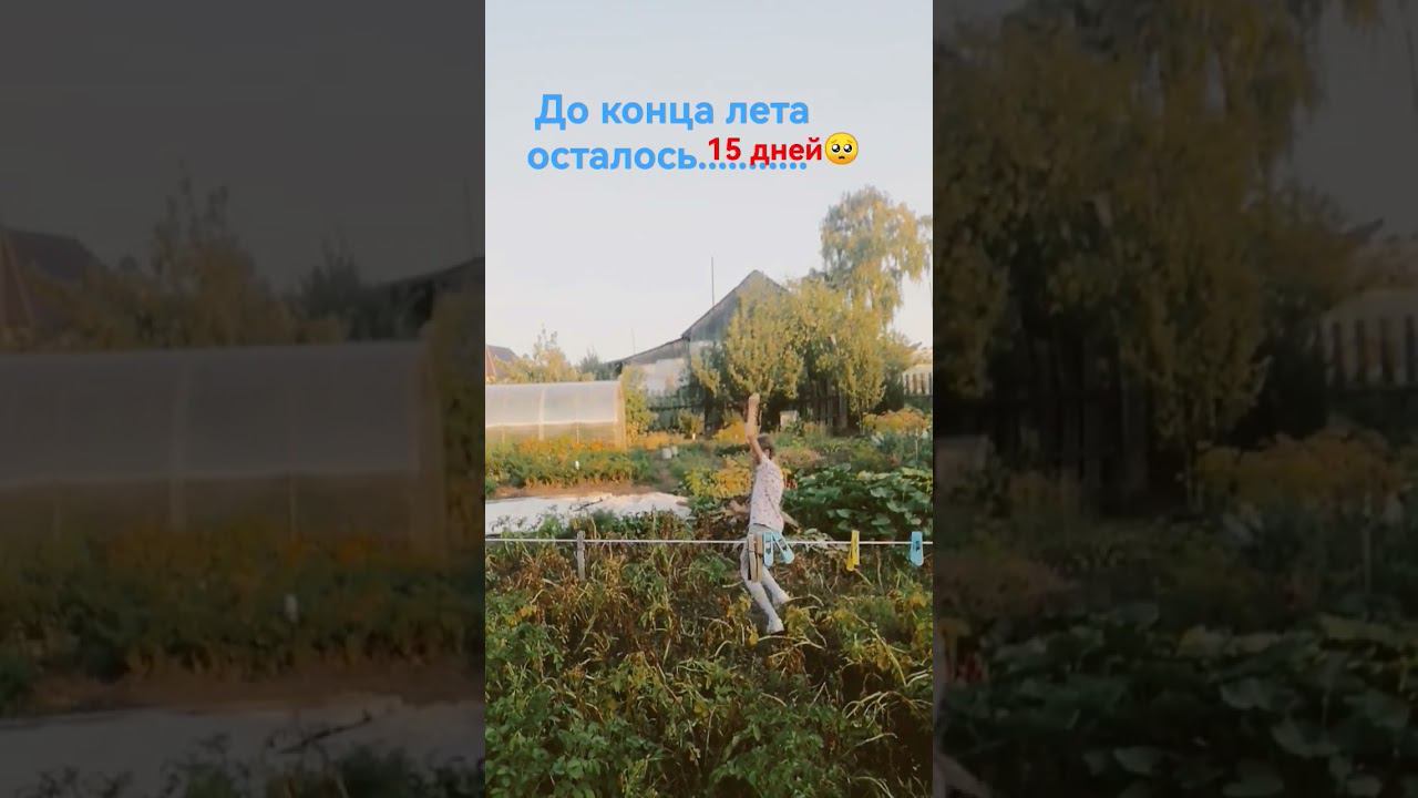 какая я смешная в конце #говрек #глобальныерекомендации #лето2023 #конец смотреть онлайн
