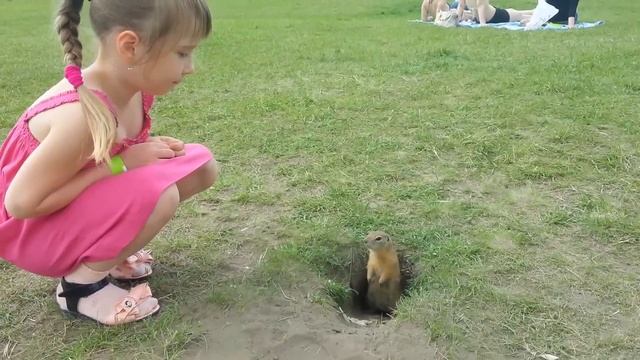 Суслик герой! 96 смотреть онлайн