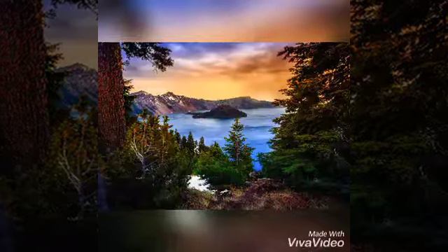 Кавер на песню.Ислам Итляшев."Она любила розы."💔🔝 смотреть онлайн
