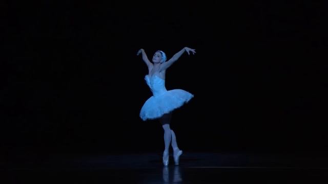 The Dying Swan – Natalia Osipova (The Royal Ballet) смотреть онлайн
