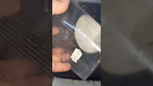 Кормление малышей птицеедов ласиодора парахибана. Малыши в продаже! смотреть онлайн