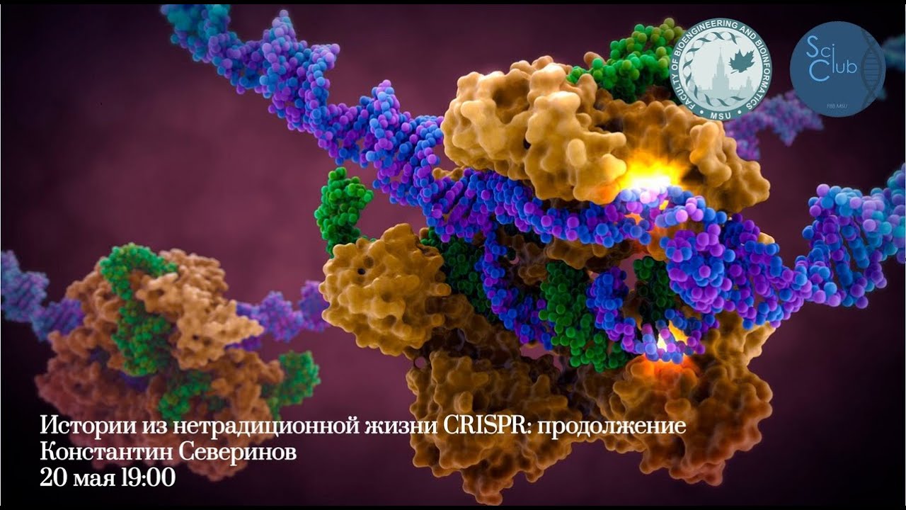 Научный клуб ФББ. Константин Северинов. Истории из нетрадиционной жизни CRISPR_ продолжение.