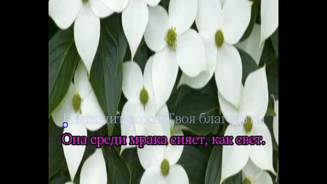 Гимны надежды 10 Прославьте Царя(-) смотреть онлайн