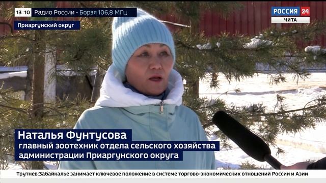 Животноводы Забайкалья завершают подготовку к зимовке скота смотреть онлайн