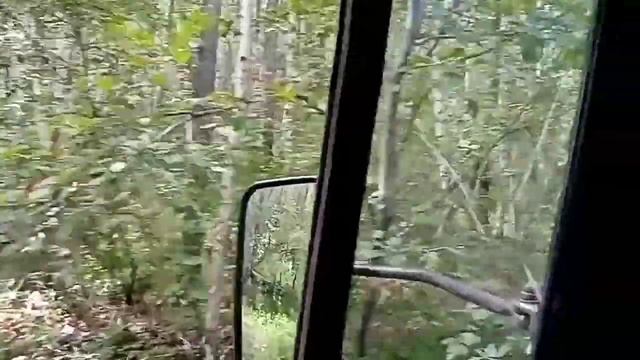 Севернее Могочи июль 2021 года Забайкальский край. смотреть онлайн