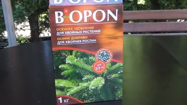 ПІДЖИВЛЕННЯ ТУЇ ВОСЕНИ