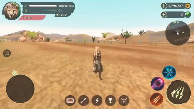 Playing The Cheetah Online Simulator (10K Cheetah!)