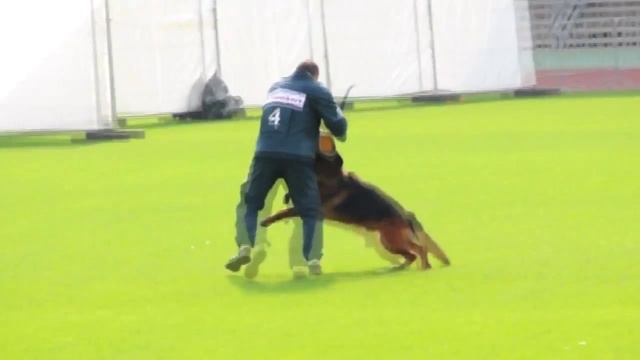 TSB - BSZS 2014 - 1104 Enosch von Amasis смотреть онлайн