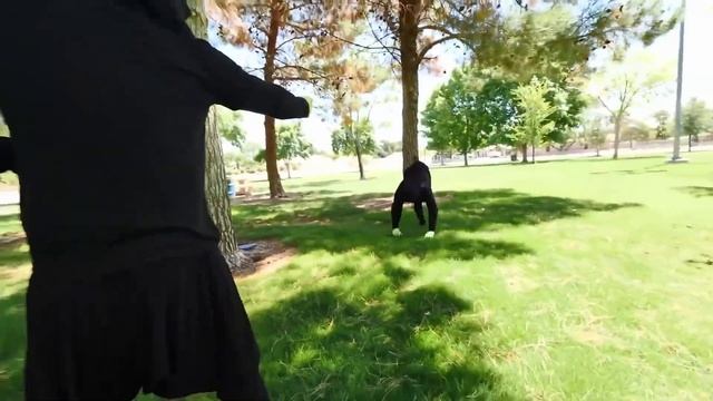 Spy Ninjas MOST EPIC Battle Royales ? - Part 6 смотреть онлайн