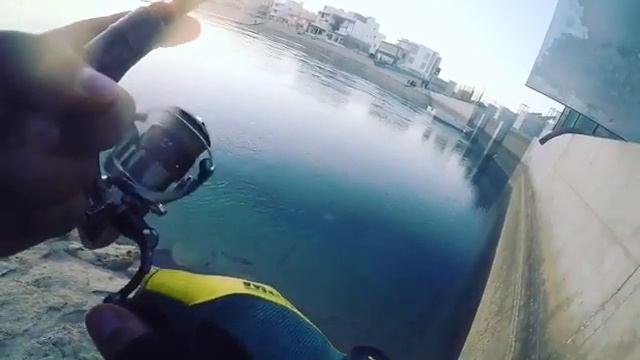 Bream fishing on soft plastic berkley gulp смотреть онлайн