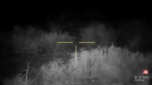 Ночная охота с Ночным прицелом на 300 метров