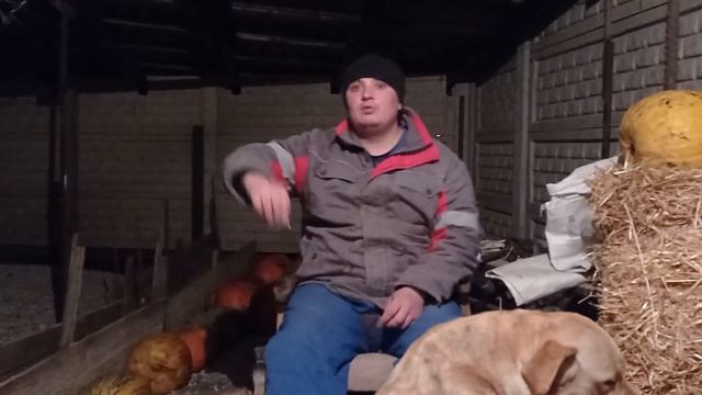 КАК Я ЕЗДИЛ В КИЕВ НА МАЙДАН‼️‼️‼️‼️ смотреть онлайн